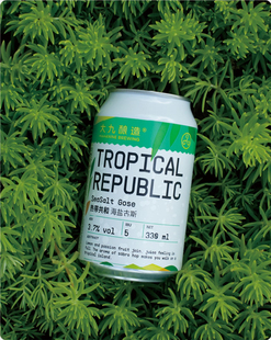 热销新货 大九酿造 热带共和海盐古斯柠檬百香果酸 国产精酿啤酒