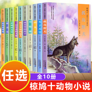 椋鸠十动物小说全集爱藏本全套10册野鸭的友情孤岛野犬野性的呼唤6-12岁小学生三四五六年级课外书阅读故事书儿童文学故事读物书籍