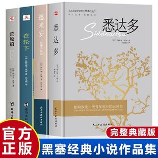 在轮下 翻译外国小说 荒原狼 德米安：彷徨少年时 悉达多 诺贝尔文学奖得主纪念碑式 正版 名作德文原版 赫尔曼黑塞作品集全4册