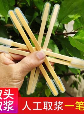 双头挖浆笔蜜蜂王浆养蜂工具包邮