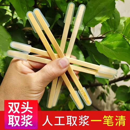 双头挖浆笔蜜蜂王浆养蜂工具包邮