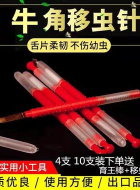 移虫针蜂王养蜂工具羊角牛角包邮