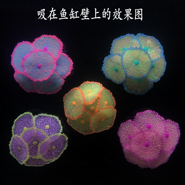 新品鱼缸仿真硅胶海水鱼软体双色圆帽海葵红肚葵水族箱观赏动植物