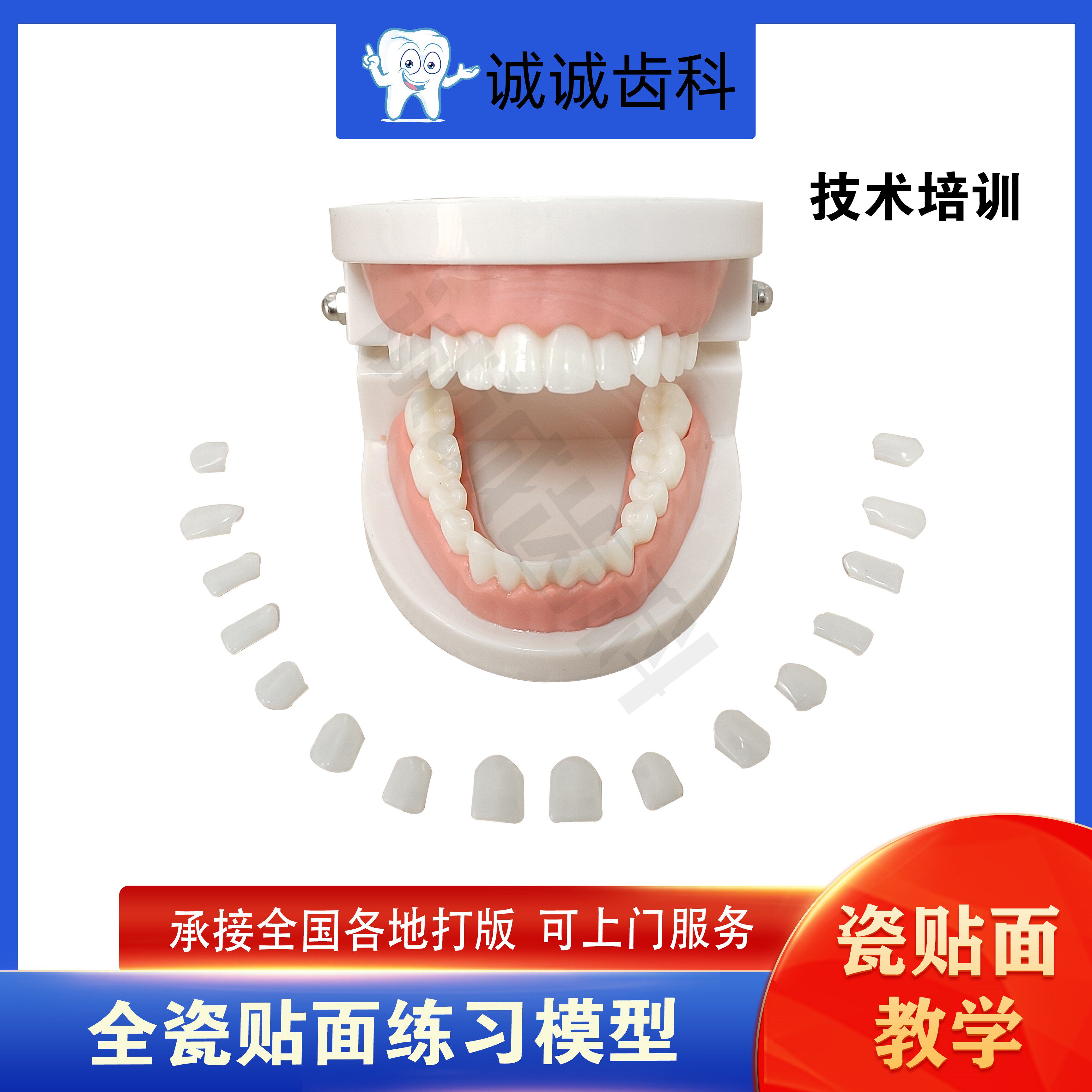 美牙全瓷贴面贴片全套技术材料牙齿美白仿真教学练习假片粘接拆除