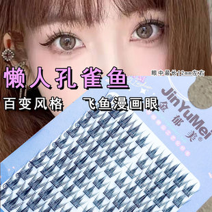 懒人系孔雀鱼漫画眼飞鱼新手日常黑梗鱼尾三部曲假睫毛胶水款