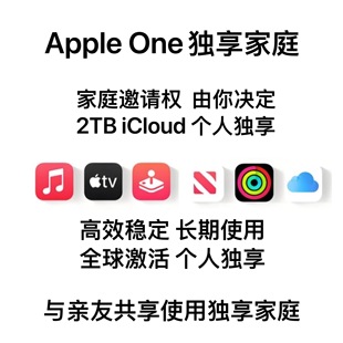 全球地区 AppleOne拼车 2TB iCloud 与亲友共享使用 个人独享家庭