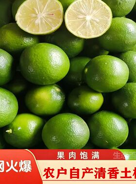 精选广西土柠檬牛脚子新鲜现摘本地土柠檬小青柠檬腌制咸柠檬专用