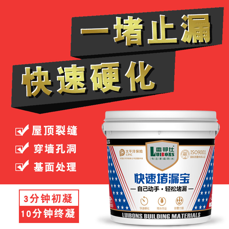 雷邦仕水不漏堵漏王快干水泥卫生间屋顶裂缝防渗水胶堵洞宝速补灵 Luibons雷邦仕旗舰店