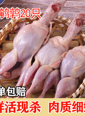 公鹌鹑鸟肉新鲜活现杀速冻白条鹌鹑生骨肉非乳鸽烧烤油炸酒店食材