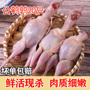 公鹌鹑鸟肉新鲜活现杀速冻白条鹌鹑生骨肉非乳鸽烧烤油炸酒店食材
