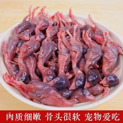 新鲜小鹌鹑肉乳鹌鹑现杀速冻非冻干生骨肉宠物零食肉类鹌鹑幼仔雏