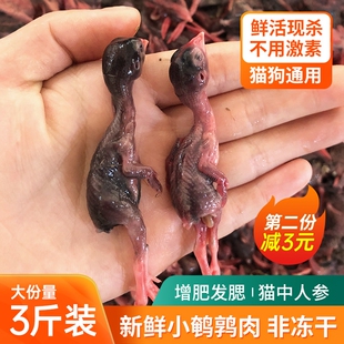 新鲜小鹌鹑肉冷冻幼仔鹌鹑雏鸟现杀速冻肉类非冻干宠物零食生骨肉