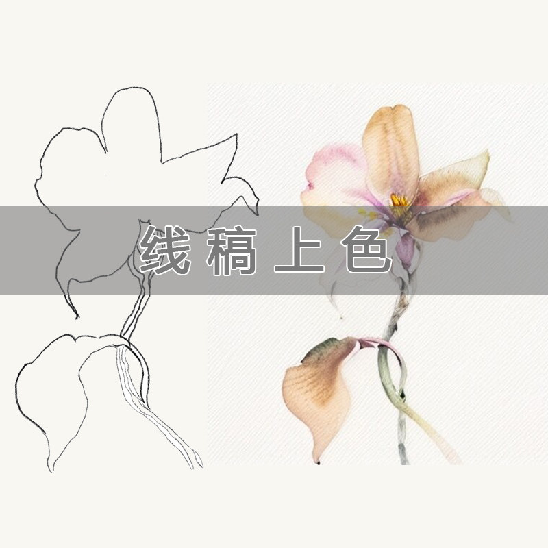 MJ动漫线条花稿上色Ai图案花型设计数码印花绘图金昌分色PS调色高性价比高么？
