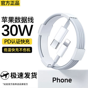 PD适用苹果iPhone快充双C数据线