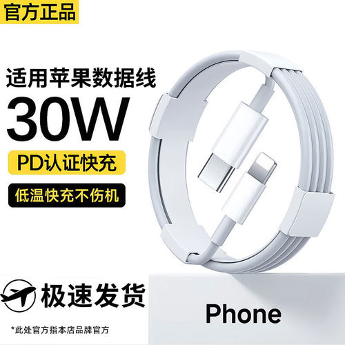 PD适用苹果iPhone快充双C数据线
