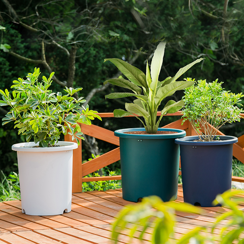 彩色深型Deepot花盆树脂