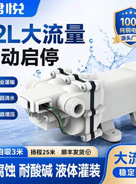 直流大流量灌装泵自吸电动抽水泵房车加水浇菜耐腐蚀尿素抽酒水泵