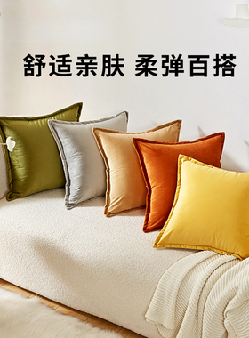 压边抱枕沙发客厅靠枕床头靠垫大抱枕套不含芯天鹅绒橙色靠背定制