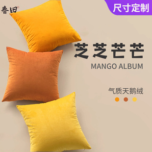 速发橙黄色抱枕靠枕沙发客厅大靠背形垫高级感方靠单独抱枕套子不