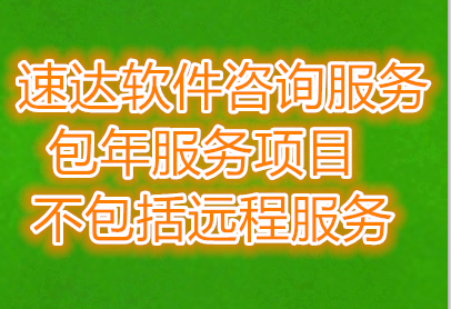 速达软件进销存财务咨询服务包年项目不包括远程技术服务