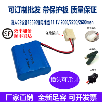 真人CS激光枪 凯光DK2000-3000合鼎装备专用可充锂电池12V2600mAh