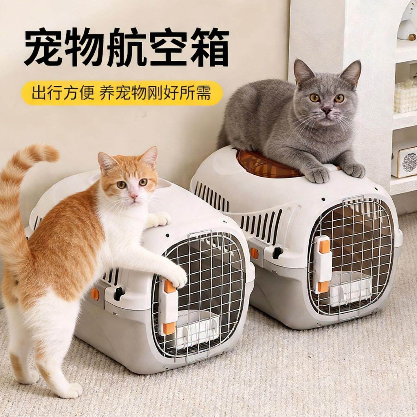 猫包外出车载狗笼子宠物手提箱猫咪狗狗小型犬比熊塑料航空箱,宠物/宠物食品及用品,航空箱,淘宝优惠券,粉丝福利购,淘宝优惠卷