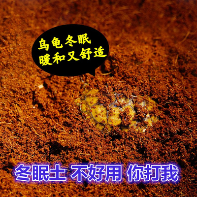 颗粒椰砖龟小妹冬眠土
