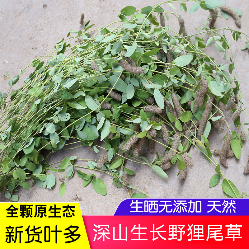 狸尾草高山正品药材农家晒干山货羊咩香整棵煮水泡茶中草药正宗,传统滋补营养品,其他药食同源食品,淘宝优惠券,粉丝福利购,淘宝优惠卷
