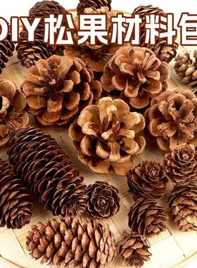 天然松果野生松塔装饰摆件幼儿园环创手工diy材料超大松果球干花