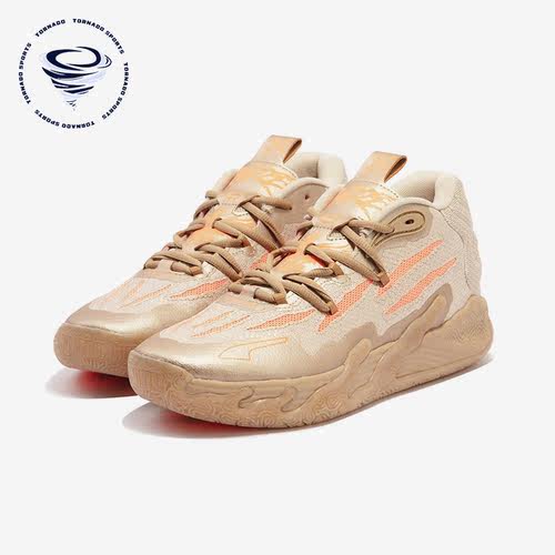 Puma/彪马男士中帮篮球鞋