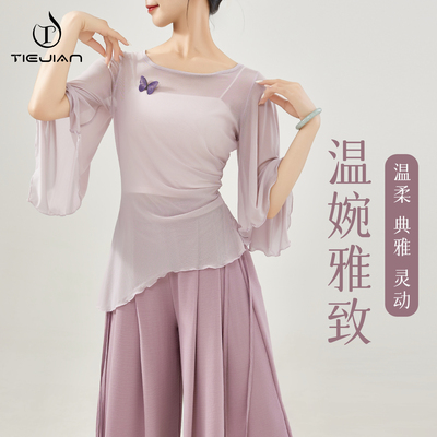 成人网纱蝴蝶现代舞服装