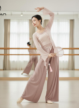 3706舞蹈服女成人现代形体练功长袖蝴蝶粉色网纱中国古典跳舞上衣