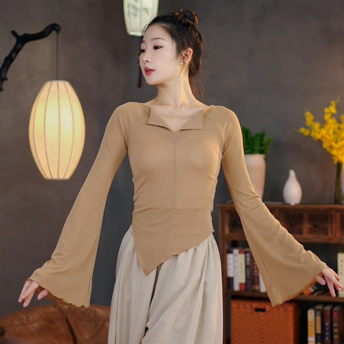 3245中国古典舞V领舞蹈服