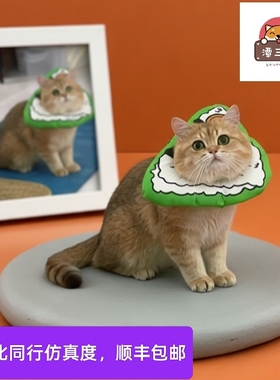 动物软陶狗狗猫咪纪念品照片定制