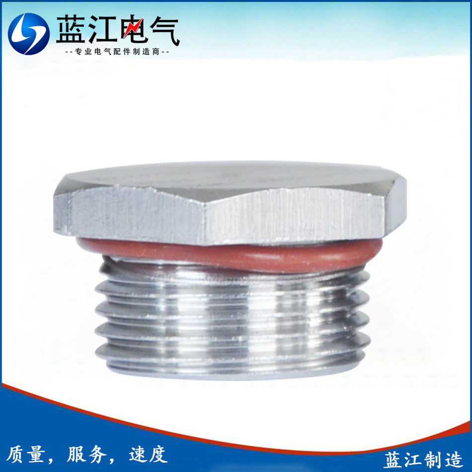 304不锈钢闷盖m牙旋入式塞头pg管牙防爆堵头德制螺纹堵头闷头油塞