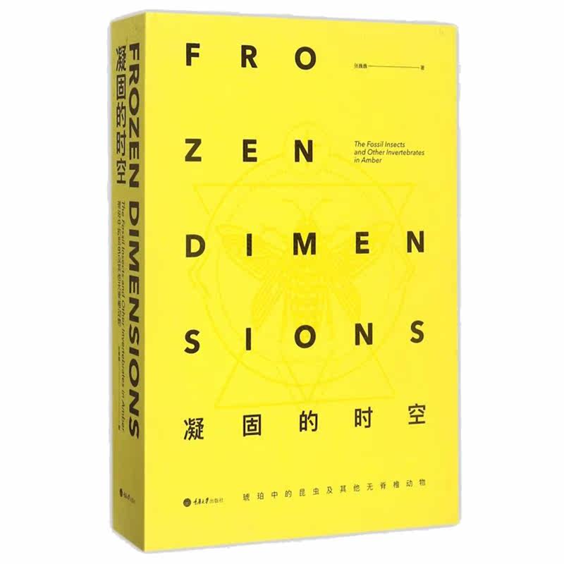 正版 凝固的时空琥珀中的昆虫及其他无脊椎动物 古昆虫学教授任东作序 无脊椎动物类群古生物学家化石收藏工具书昆虫图谱图鉴图册