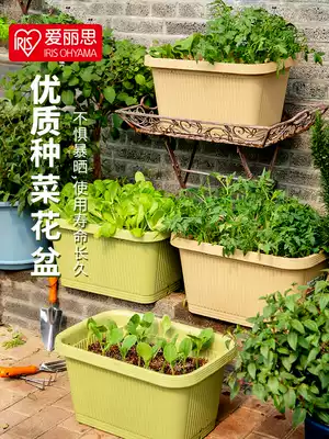 IRIS flowerpot balcony rectangular extra large plastic seed pot Alice planting long flowerpot vegetable box