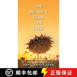 Breakthrough 3周达 Beauty the Poetic Collection The Rise 9780578365381 Messages