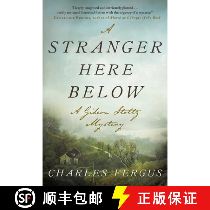 【3-4周达】A Stranger Here Below: A Gideon Stoltz Mystery [9781951627447]