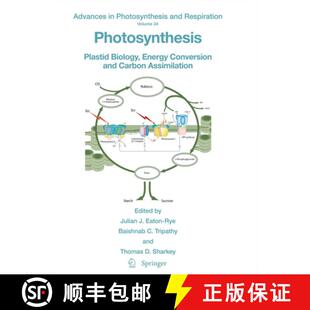 Carbon 9789400715783 Photosynthesis Energy Conversion Biology 4周达 Plastid Assimilation and