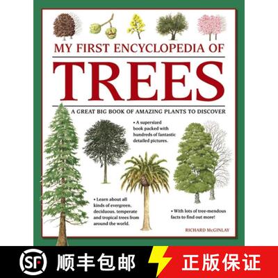 【3-4周达】My First Encyclopedia of Trees (giant Size): A Great Big Book of Amazing Plants to Discover [9781861478252]