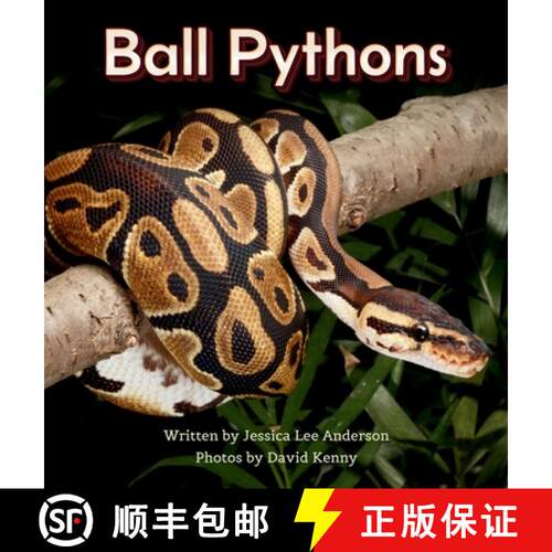 【3-4周达】精装 Ball Pythons [9781964078328]