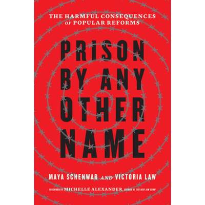 【4周达】Prison by Any Other Name : The Harmful Consequences of Popular Reforms [9781620973103]