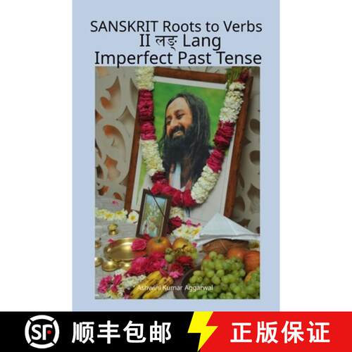 【3-4周达】Sanskrit Roots to Verbs II Lang Imperfect Past Tense [9789348012531]