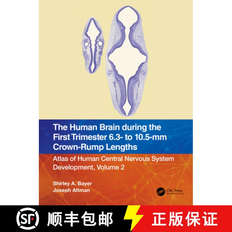 【3-4周达】The Human Brain During the First Trimester 6.3 to 10.5 MM Crown-Rump (Cr) Lengths: Atlas o... [9781032183275]