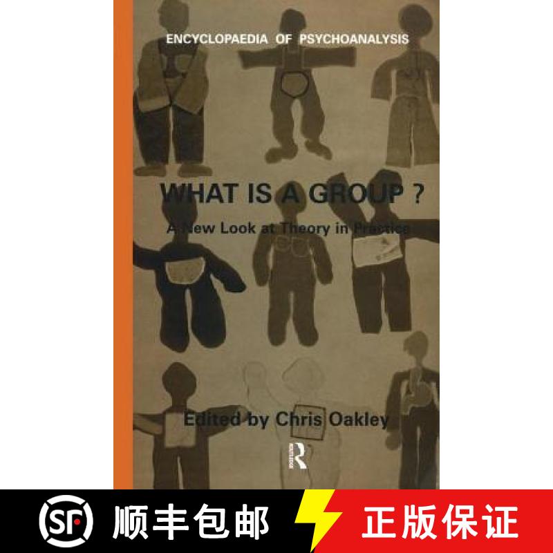 【3-4周达】What Is a Group?: A New Look at Theory in Practice [9781900877077]