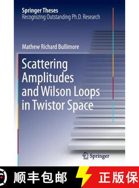 【3-4周达】Scattering Amplitudes and Wilson Loops in Twistor Space [9783319346182]