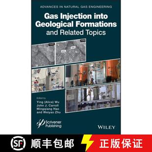 Formations Into And Wiley能源 Gas Topics 4周达 9781119592068 Injection Related Geological