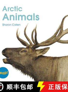预订 Arctic Animals [9781625217073]
