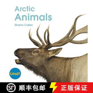 预订 Arctic Animals [9781625217073]